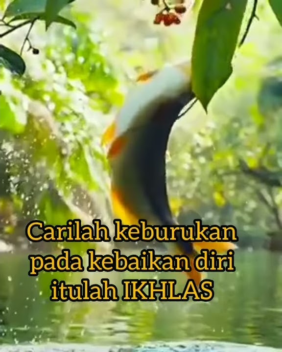 MULAT SARIRO HANGROSO WANI