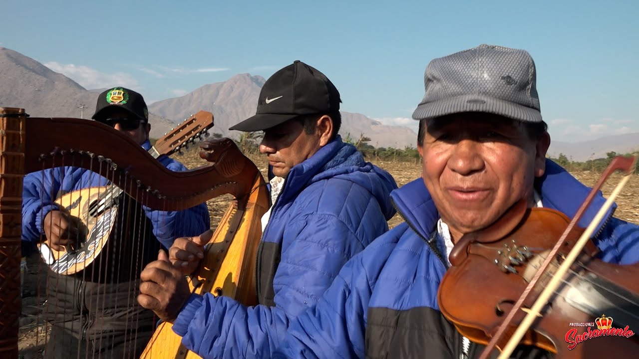 FLOR ANDINO DE PACCHO SHATYS RODEO MIX FAMILIA CALDERON