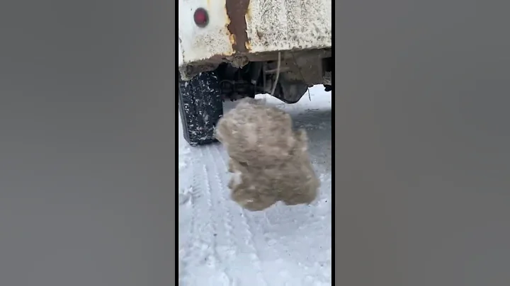 Happy for summer, heat waves, and June. But winter sneaks into a guys brain sometimes… 🤪 - DayDayNews