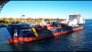 MIA DESGAGNES - Downbound Port Huron, Michigan 10-24-2024