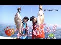 Catch more fish with Fall Tairaba!! [Part 1] - YouTube