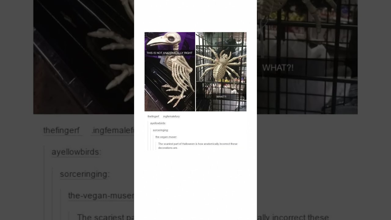 A Skeleton Tumblr Post