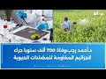 بعد الأمطار الأخيرة عميد البياطرة يحذ ر من الاستعمال العشوائي للمبيدات 