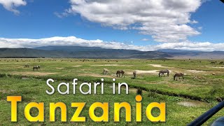 African Safari - a lifetime Experience | Tanzania 4K