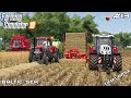 Harvesting, baling and collecting bales | Animals on Baltic Sea | Farming Simulator 19 | Episode 13