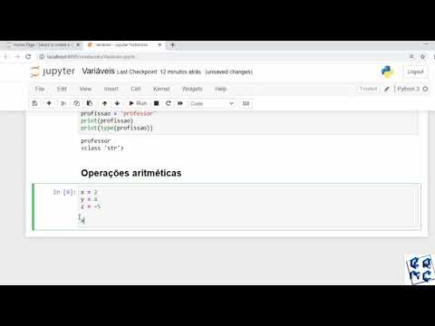 Python para data science - Aula 03 - Variáveis e operações aritméticas