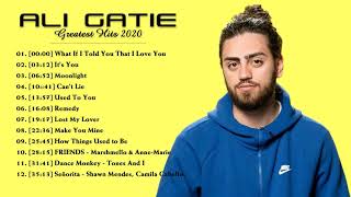 Aligatie Greatest Hits  Album 2020  Aligatie Sucessos