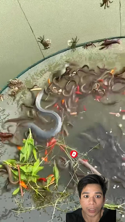 Mancing ikan dapet banyak