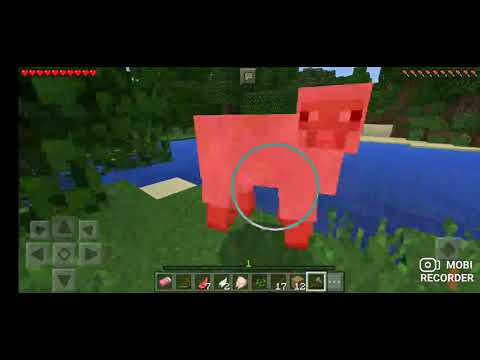 დღეს ჩვენ ვთამაშოფთ მანქრაფს