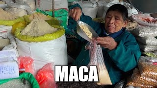 Maca