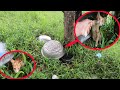 kitten raining go to the shelter under the​ Aluminium Vessels