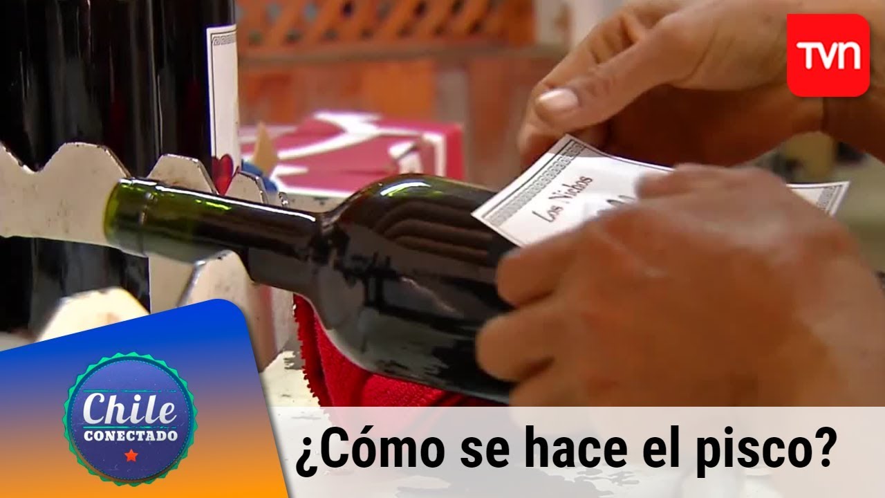 ¿Cómo se hace el pisco? | Chile conectado | Buenos días a todos