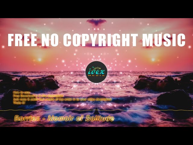 Borrtex - Memoir of Solitude (Free No Copyright Music)