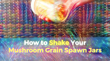 How to Shake Your Mushroom Grain Spawn Jars