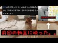 【事故物件】前回の動画にヤバいものが映っていました。怖すぎ