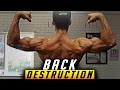 Gorilla Back Workout for Aesthetics 🦍 - The Cut Episode 17