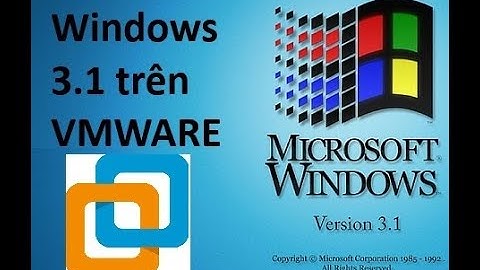 Windows 3.1 ON VMWARE