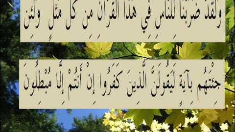 القران الكريم سورة الروم الأية 58.wmv
