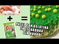 SIN HORNO, EN LICUADORA HAZ ESTE PASTEL DE SAN PATRICK/RECETA 🍽/Gracia Típs 💎