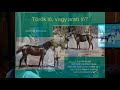 V. Élet a török hódoltságban: dr. Szőllősy Gábor - Török ló? - arab ló?