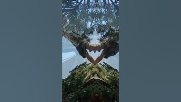 W7MTB working S2S with K7RJN & KJ7NUY on SSB 40 Meters #hamradio #SOTA #summitsontheair #shorts