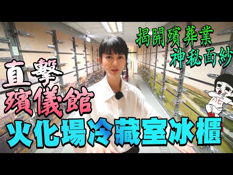 開箱寵物殯葬業！原來動物過世後等於廢棄物？！｜白癡公主