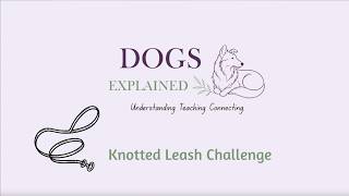 Knotted Leash Challenge: A Simple Way to Test Loose-Leash Walking: Join the Fun!