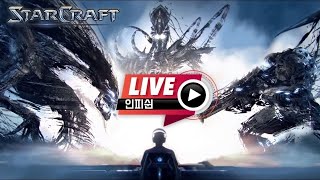 【 인피쉰 생방송 Live 】 빨무 스타 스타크래프트 팀플 (2021-05-08 토요일)