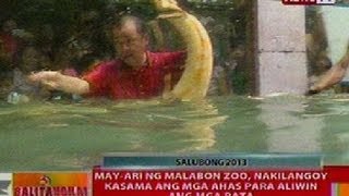 BT: May-ari ng Malabon Zoo, nakilangoy kasama ang mga ahas para aliwin ang mga bata