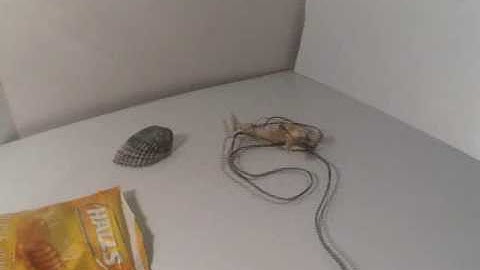 Found Objects Animation