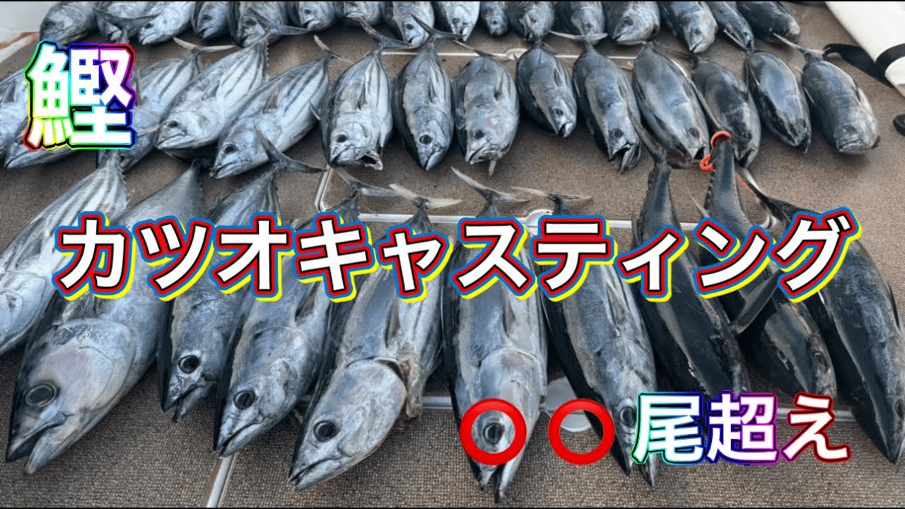 カツオキャスティングで大爆釣！まさかの○○尾越え！