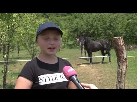 Video: Hilsalergijska Pasmina Konja Holštajn, Zdravlje I životni Vijek