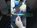 BCAProtein