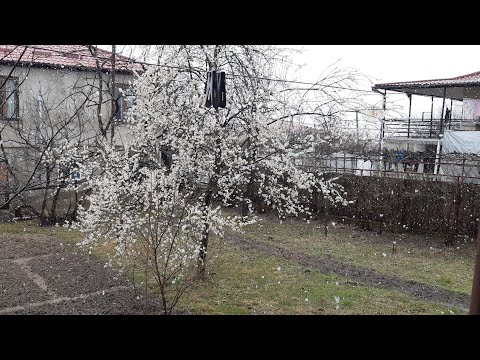 თოვლი გაზაფხულზე 24/03/2021 Snow in the spring