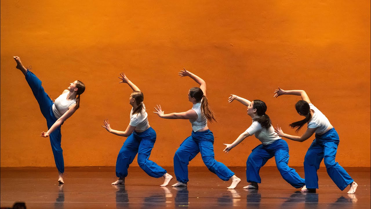 Dog Days Are Over - small lyrical 2024