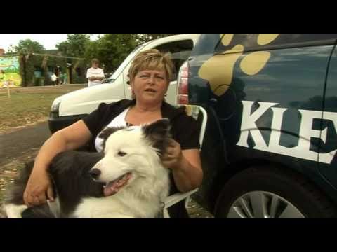 Klever K9's at Grant Thorold Library Open Event 2010, Grimsby