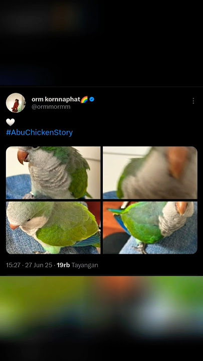 ABU CHICKEN STORY 🤍🦜🐥 #linglingkwong #ormkornnaphat #lingorm #abuchicken