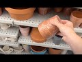 11 Dollar Store pot ideas that will make your friends and family go WOW!