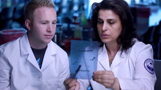 Midwestern University Research