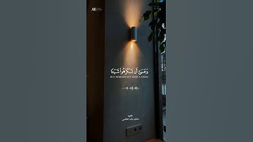 القارئ مشاري راشد العفاسي 🎙️ " وعسي أن تكرهوا شيئاً وهو خير لكم" تلاوة خاشعة 💙