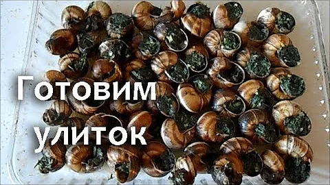 ВИНОГРАДНАЯ УЛИТКА. Рецепт приготовления. Соус по-французски
