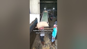 Double arm Truck Loading & Unloading Conveyor.