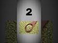 Gas, Bloating, Heavy Pet? 5 Simple Cheezein Jo Log Try Karte Hain