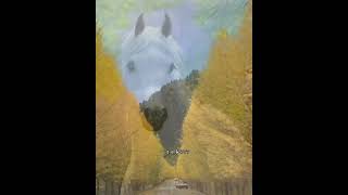 Whatsapp Üçün Yeni Video Və Mahnı 2021 Mp3 Heziyev 