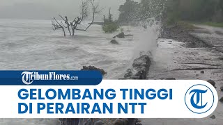 Prakiraan Gelombang Tinggi Sabtu 19 Juli 2025, BMKG: Waspadai Perairan Selatan Sumba
