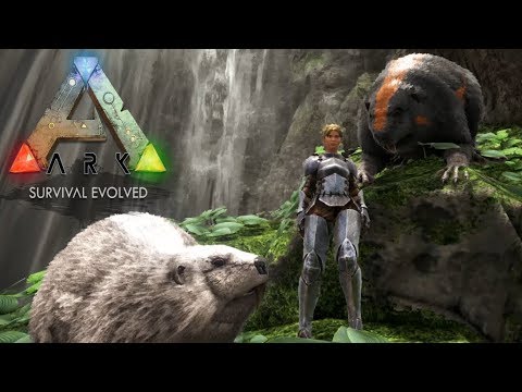 81 Ark Isl S3 滝下の水棲哺乳類カストロイデス特選wテイム Pc版公式pve Ark Survival Evolved Youtube