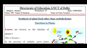WORKSHEET 17 CLASS 7 SCIENCE (ENGLISH MEDIUM) TUESDAY 14 SEPTEMBER 2021