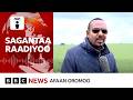 Oromiyaan Finfinneerraa Faayidaa Addaa Yoom Argatti BBC News Afaan Oromoo 