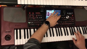 KORG Pa1000 - Checkin