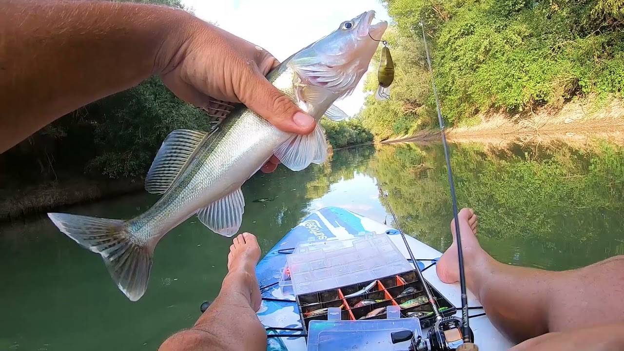 Stand-up Paddle Fishing